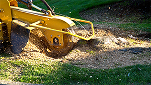 Stump removal