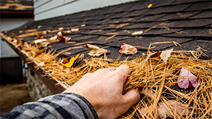 Roof debris removal