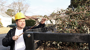 Yard debris removal
