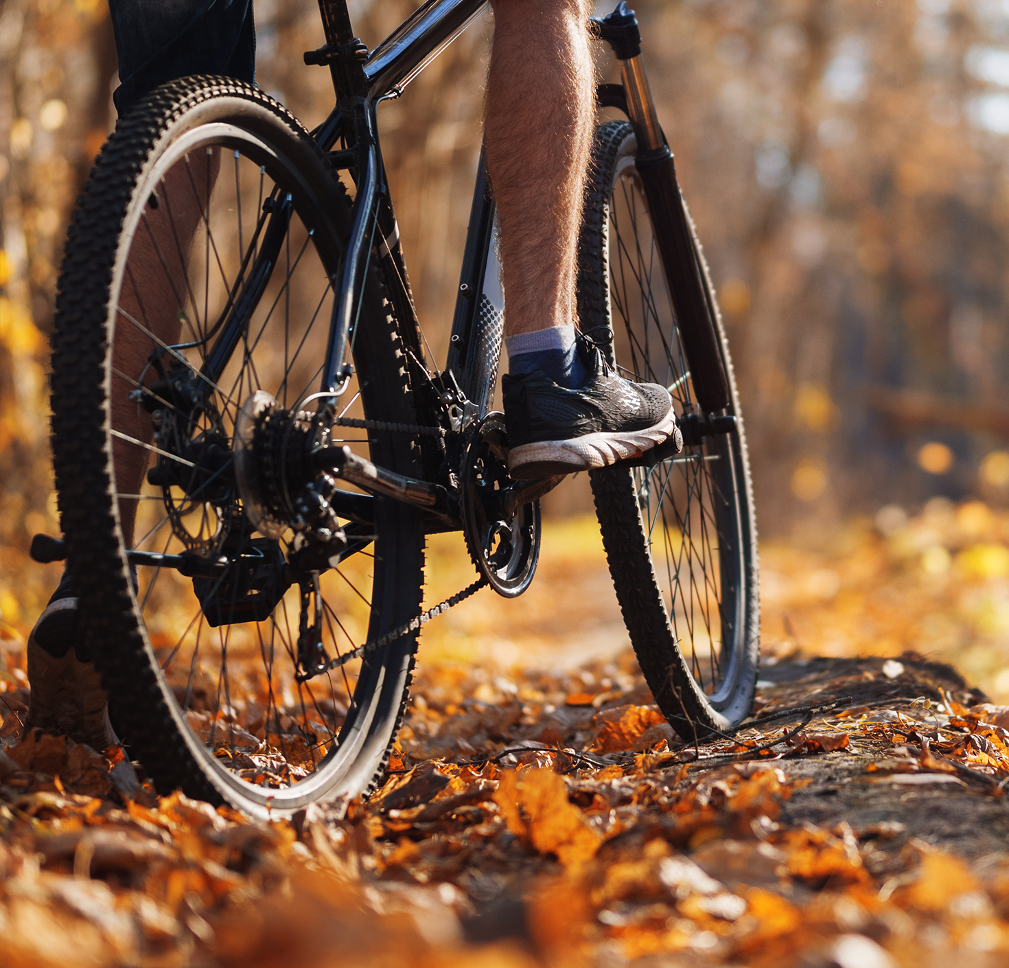 Person riding bike in forest